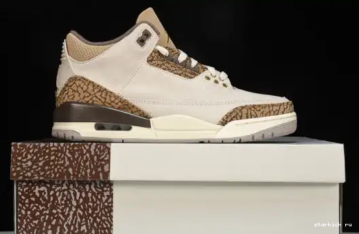 Palomino  CT8532-102  Retro Jordan 3 CT8532-102 0611